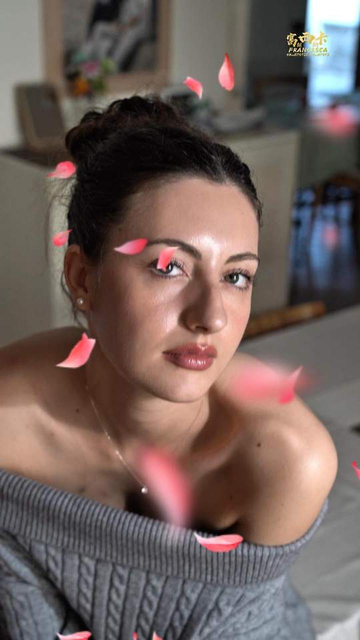 纳西妲模拟器游戏截图